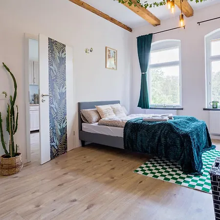 Boarding & Monteur Cmtz